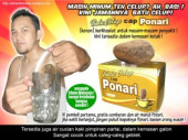 Batu Ponari 300x225